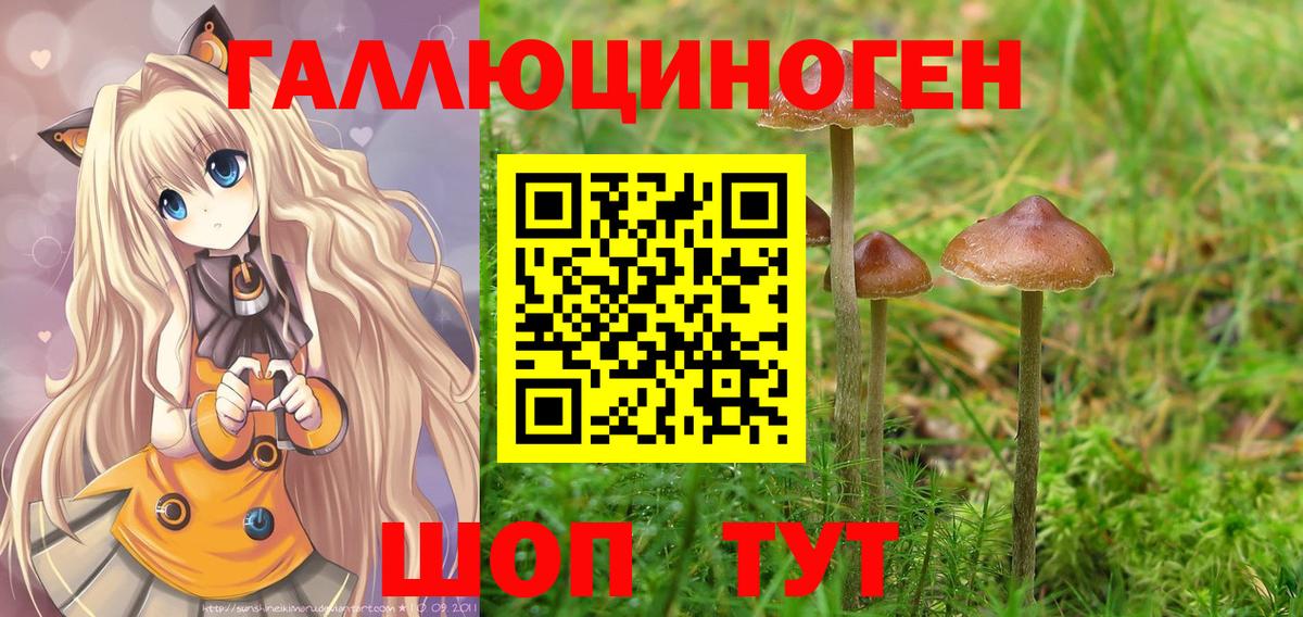 Галлюциногенные грибы Magic Shrooms  Галлюциногенные грибы MAGIC MUSHROOMS  Вход с VPN  Касимов 
