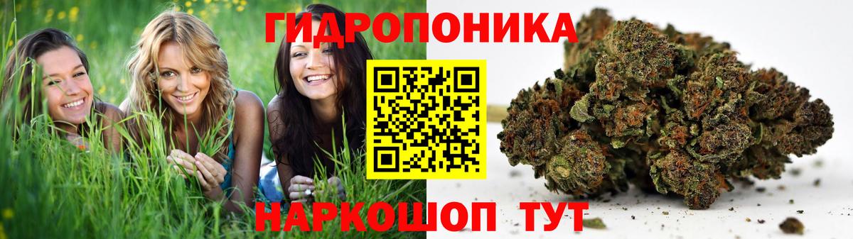 Бошки Шишки White Widow Касимов